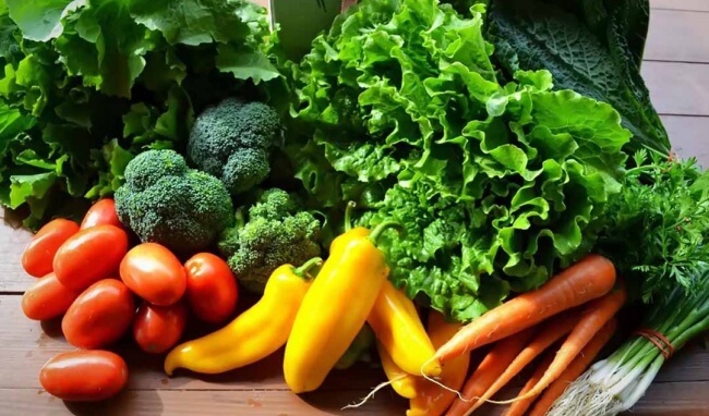 biện pháp làm suy giảm nổi mụn khi mang thai