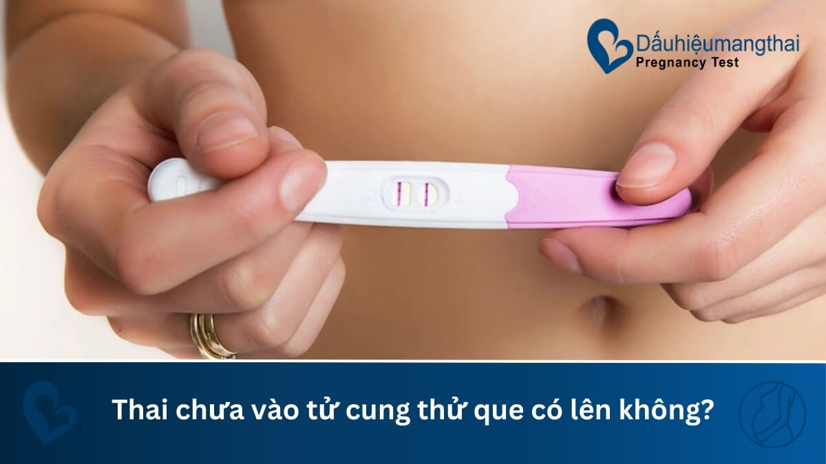 Thai chưa vào tử cung thử que có lên không?